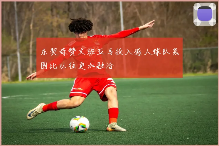 东契奇赞文班亚马投入感人球队氛围比以往更加融洽