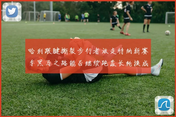 哈利跟腱撕裂步行者放走特纳新赛季黑马之路能否继续跑轰长轮换成关键