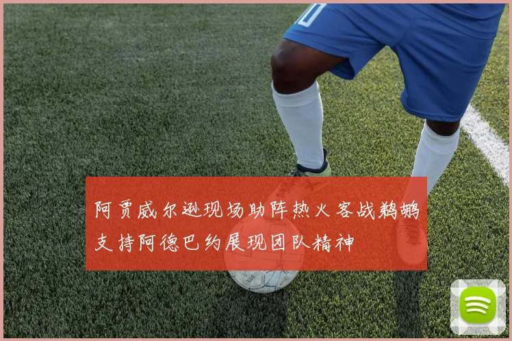 阿贾威尔逊现场助阵热火客战鹈鹕支持阿德巴约展现团队精神