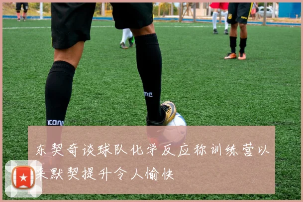 东契奇谈球队化学反应称训练营以来默契提升令人愉快