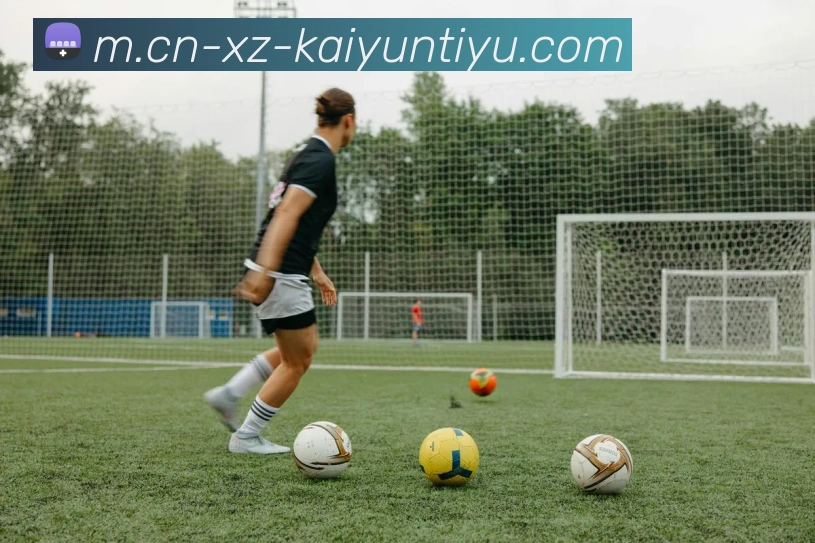 开云体育平台生态图